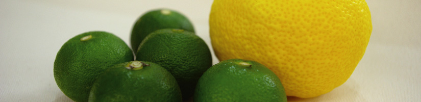 会社概要｜西地食品有限会社