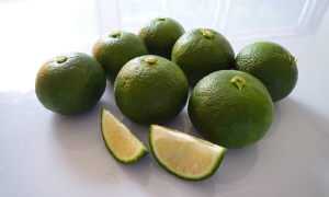 すだちの果実｜西地食品有限会社