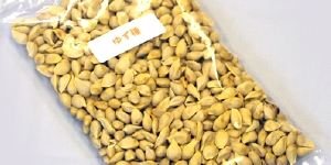 ゆず種｜西地食品有限会社